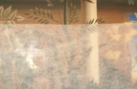 sDzʋCɗDꂽfނȗR